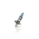 1 ampoule H1 Philips 12258BVUSM Meilleure Vente